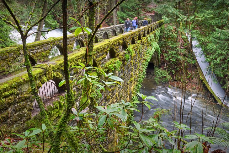 10 Fun Things to Do in Bellingham, WA