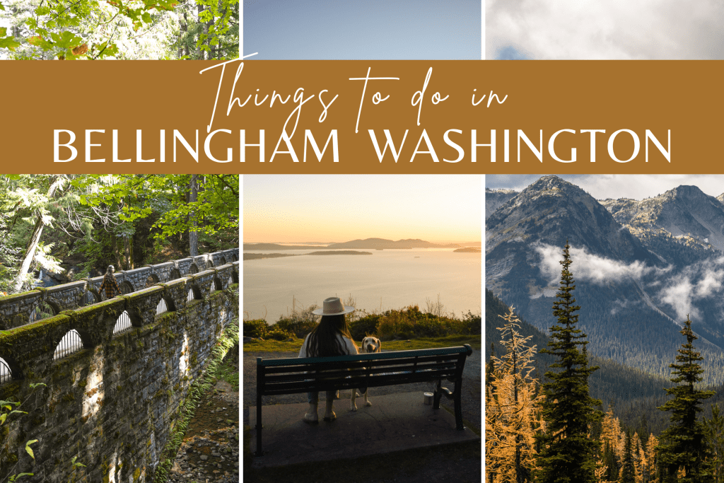 10 Fun Things to Do in Bellingham, WA