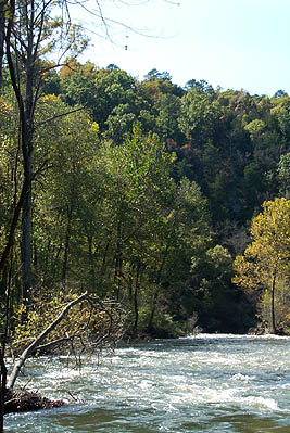 Explore the Natural Beauty of Beavers Bend State Park