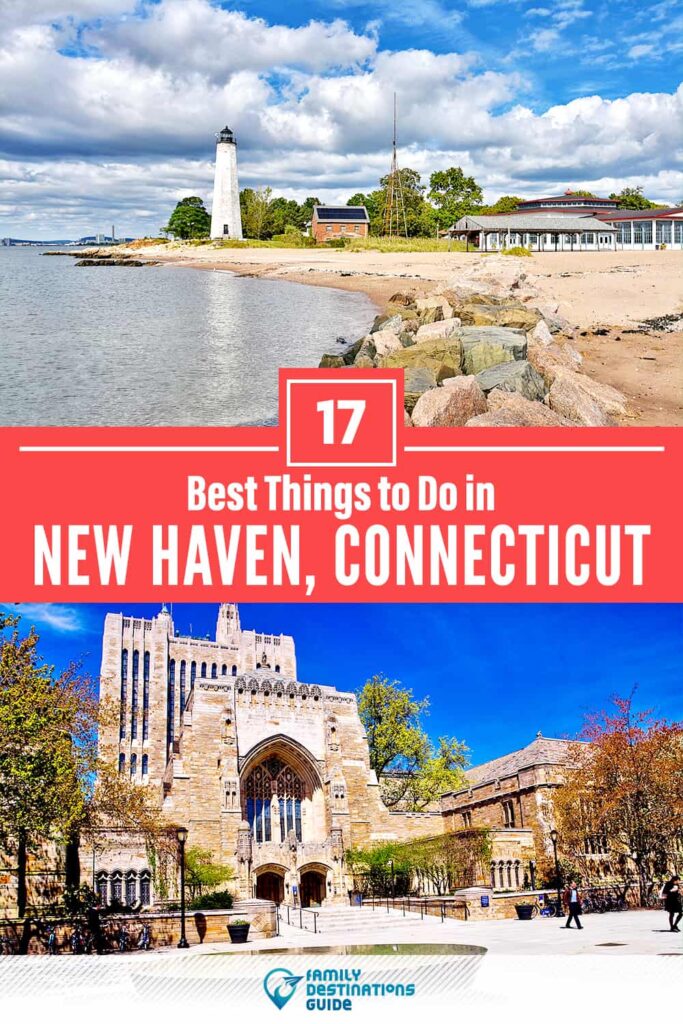 Explore Unique Activities in New Haven